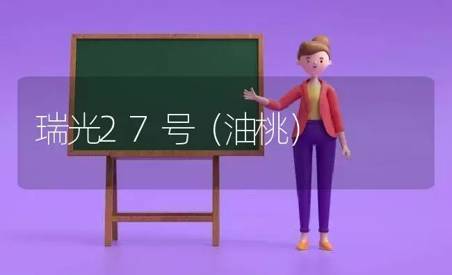 瑞光27号（油桃） | 植物科普