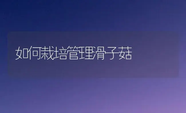 如何栽培管理滑子菇 | 植物科普