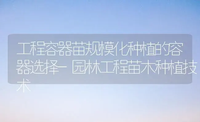 工程容器苗规模化种植的容器选择-园林工程苗木种植技术 | 植物知识
