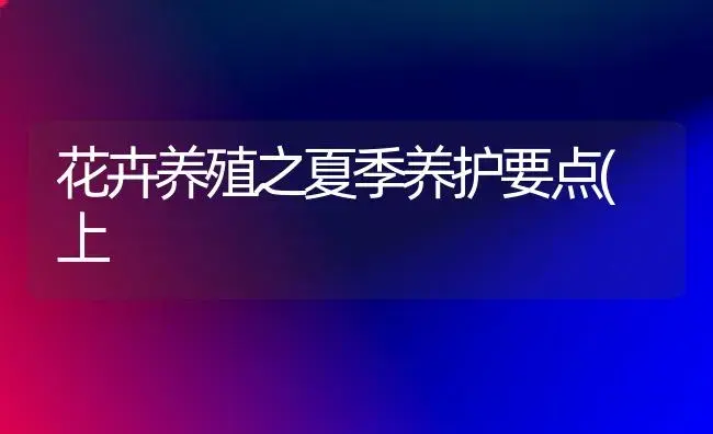 花卉养殖之夏季养护要点(上 | 植物知识