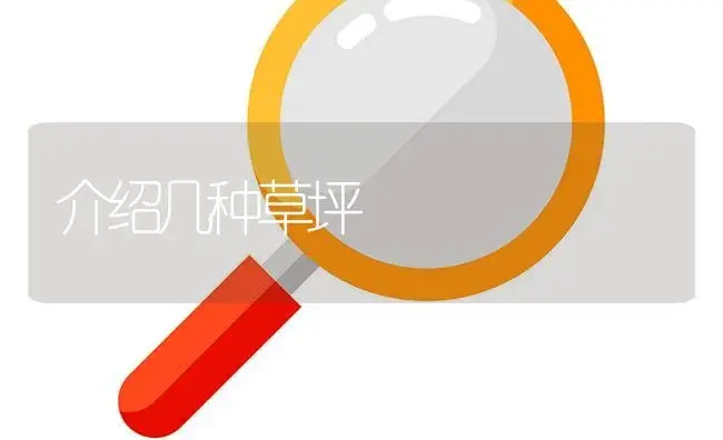 介绍几种草坪 | 植物知识