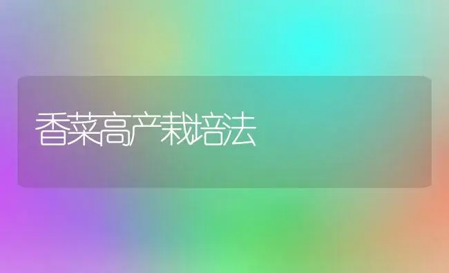 香菜高产栽培法 | 植物百科