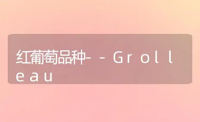 红葡萄品种--Grolleau | 植物百科