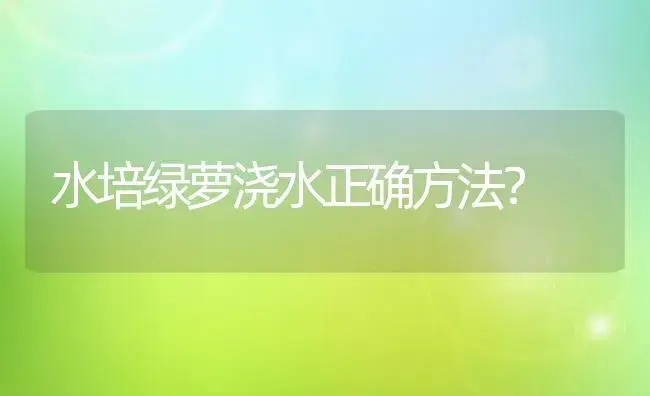 水培绿萝浇水正确方法？ | 植物问答