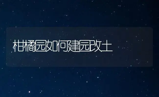 柑橘园如何建园改土 | 植物百科