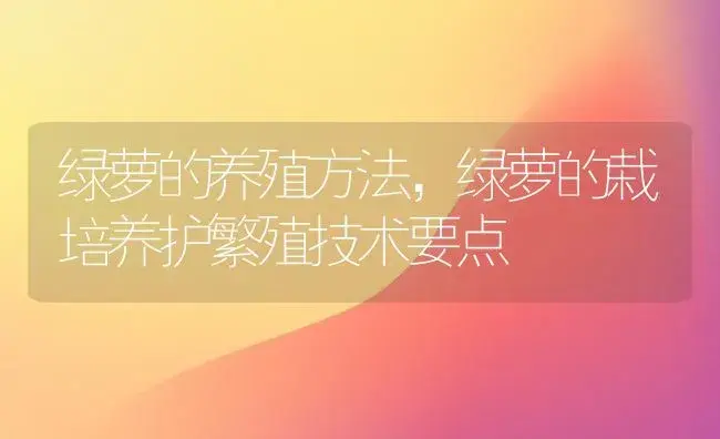 绿萝的养殖方法，绿萝的栽培养护繁殖技术要点 | 植物科普