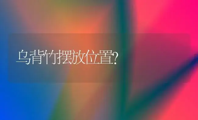 乌背竹摆放位置？ | 植物问答