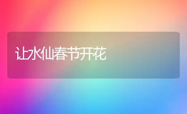 让水仙春节开花 | 植物知识