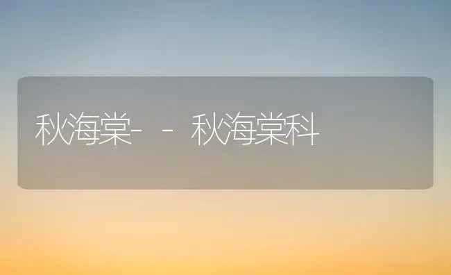 秋海棠--秋海棠科 | 植物知识