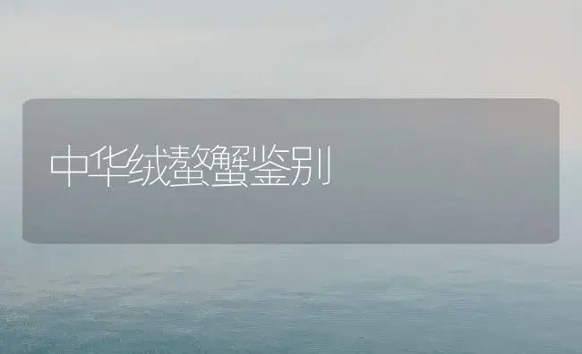 怎样嫁接仙人球和柱状、棒状仙人掌? | 植物科普