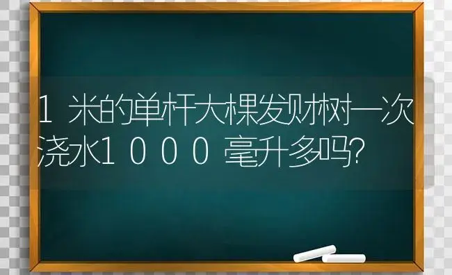 1米的单杆大棵发财树一次浇水1000毫升多吗？ | 植物问答