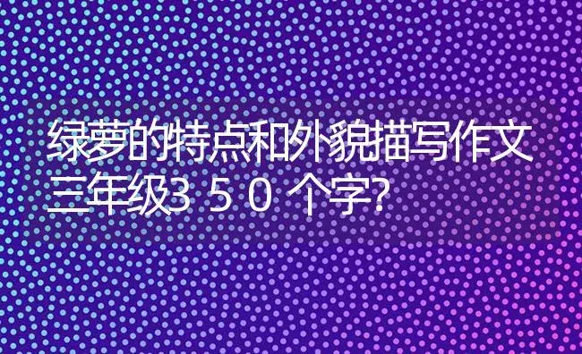 绿萝的特点和外貌描写作文三年级350个字？ | 植物问答