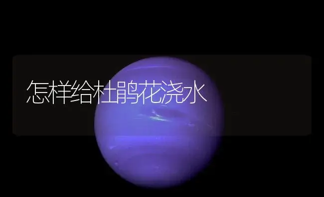 怎样给杜鹃花浇水 | 植物知识