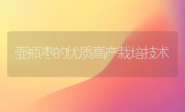 壶瓶枣的优质高产栽培技术 | 植物百科