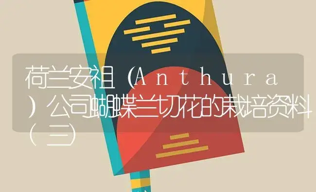 荷兰安祖（Anthura）公司蝴蝶兰切花的栽培资料(三) | 植物知识