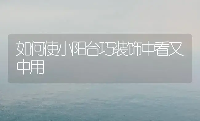 如何使小阳台巧装饰中看又中用 | 植物知识