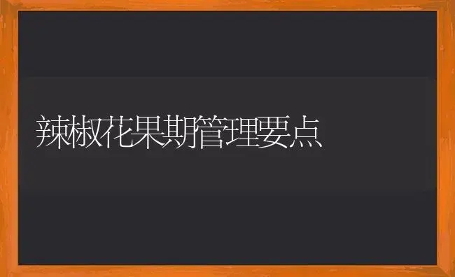辣椒花果期管理要点 | 植物科普