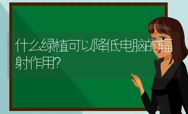 什么绿植可以降低电脑的辐射作用？ | 植物问答