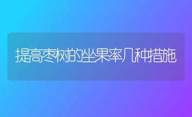 提高枣树的坐果率几种措施 | 植物科普