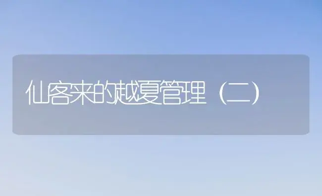 仙客来的越夏管理（二） | 植物科普