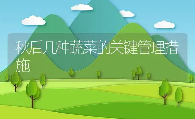 秋后几种蔬菜的关键管理措施 | 植物资料