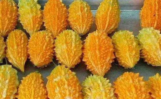 金铃子种植时间和方法，南方比北方的种植时间早