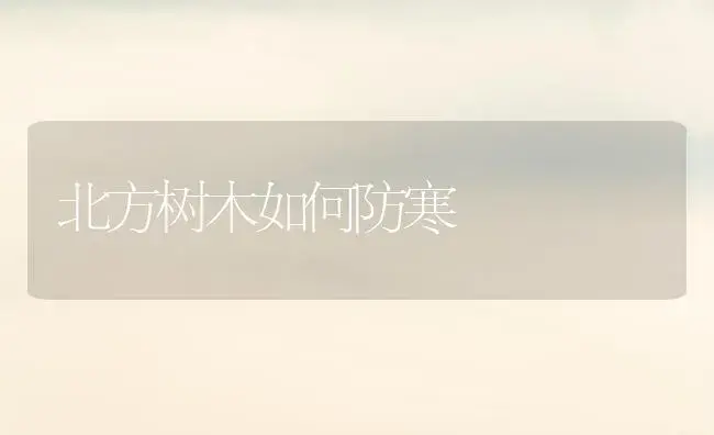 北方树木如何防寒 | 植物科普