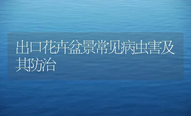 家庭养殖红掌的培育和养护要点 | 植物知识
