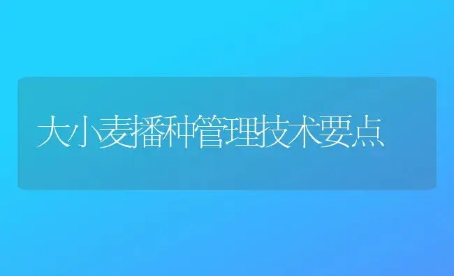 大小麦播种管理技术要点 | 植物科普