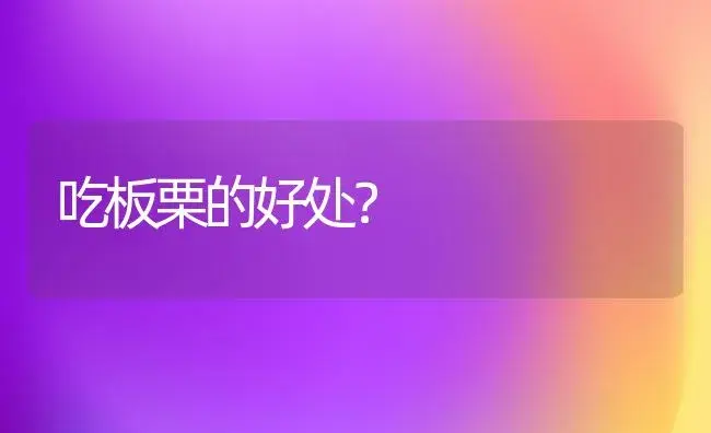 吃板栗的好处？ | 植物科普