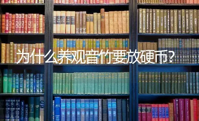 为什么养观音竹要放硬币？ | 植物问答