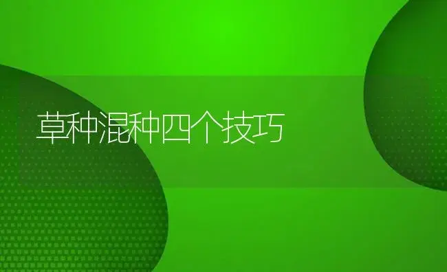 草种混种四个技巧 | 植物知识