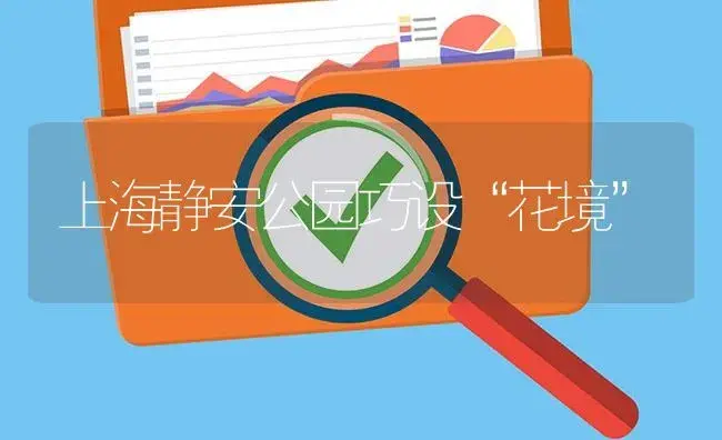 一品红的运输途中管理要点 | 植物知识