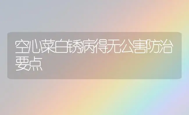 黑琥珀李引种及沙地优质高产栽培技术 | 植物百科