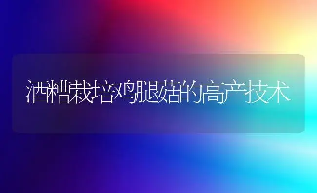 酒糟栽培鸡腿菇的高产技术 | 植物科普