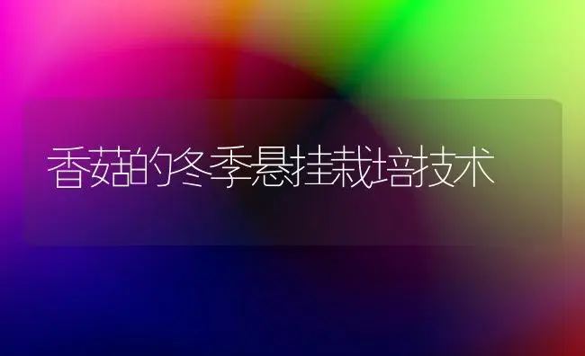 香菇的冬季悬挂栽培技术 | 植物科普