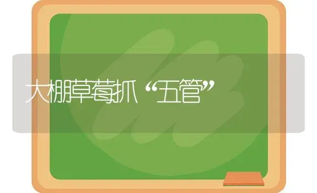 大棚草莓抓“五管” | 植物科普