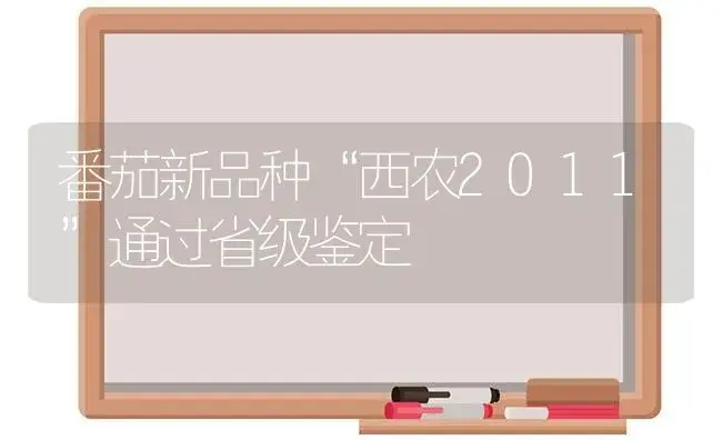 番茄新品种“西农2011”通过省级鉴定 | 植物科普