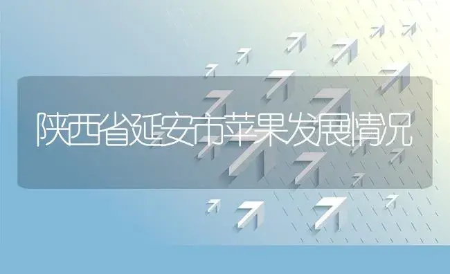 陕西省延安市苹果发展情况 | 植物资料