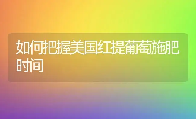 “滴灌”节水技术 种出优质西瓜 | 植物科普