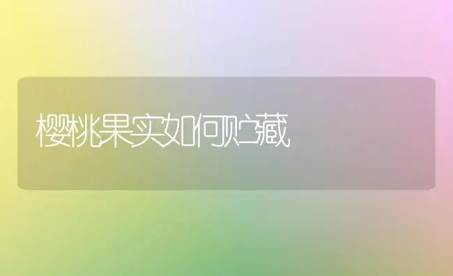 樱桃果实如何贮藏 | 植物百科