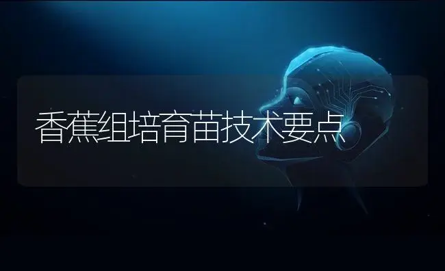 香蕉组培育苗技术要点 | 植物科普