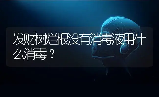 发财树烂根没有消毒液用什么消毒？ | 植物问答