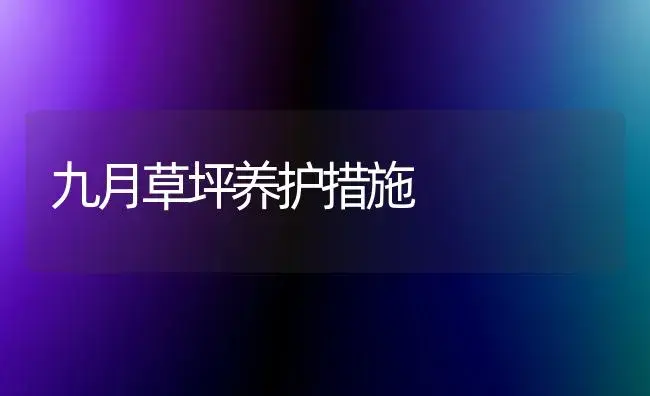 九月草坪养护措施 | 植物知识