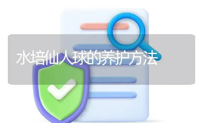 水培仙人球的养护方法 | 植物知识