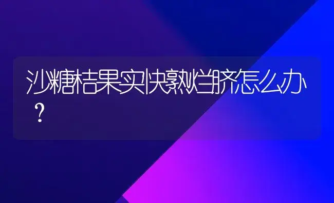 沙糖桔果实快熟烂脐怎么办？ | 植物百科