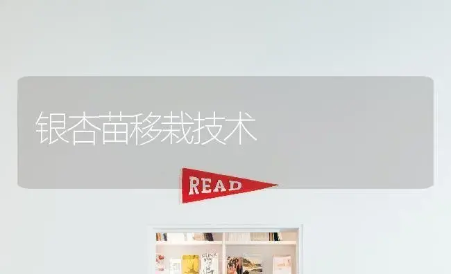 银杏苗移栽技术 | 植物科普