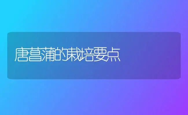 唐菖蒲的栽培要点 | 植物知识