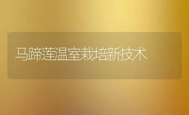 马蹄莲温室栽培新技术 | 植物科普