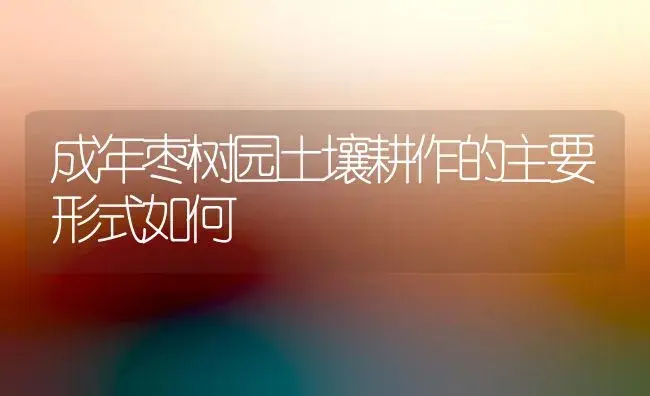 盆养杜鹃的栽培管理 | 植物科普